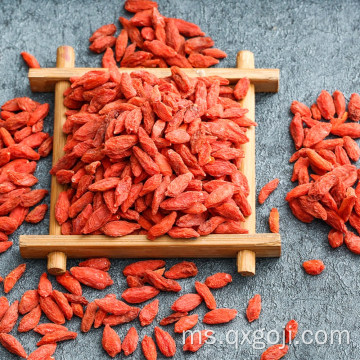 Jualan panas wolfberry / goji berry untuk penurunan berat badan